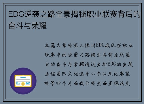 EDG逆袭之路全景揭秘职业联赛背后的奋斗与荣耀