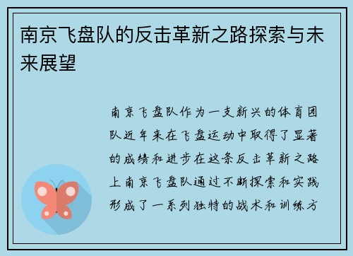 南京飞盘队的反击革新之路探索与未来展望